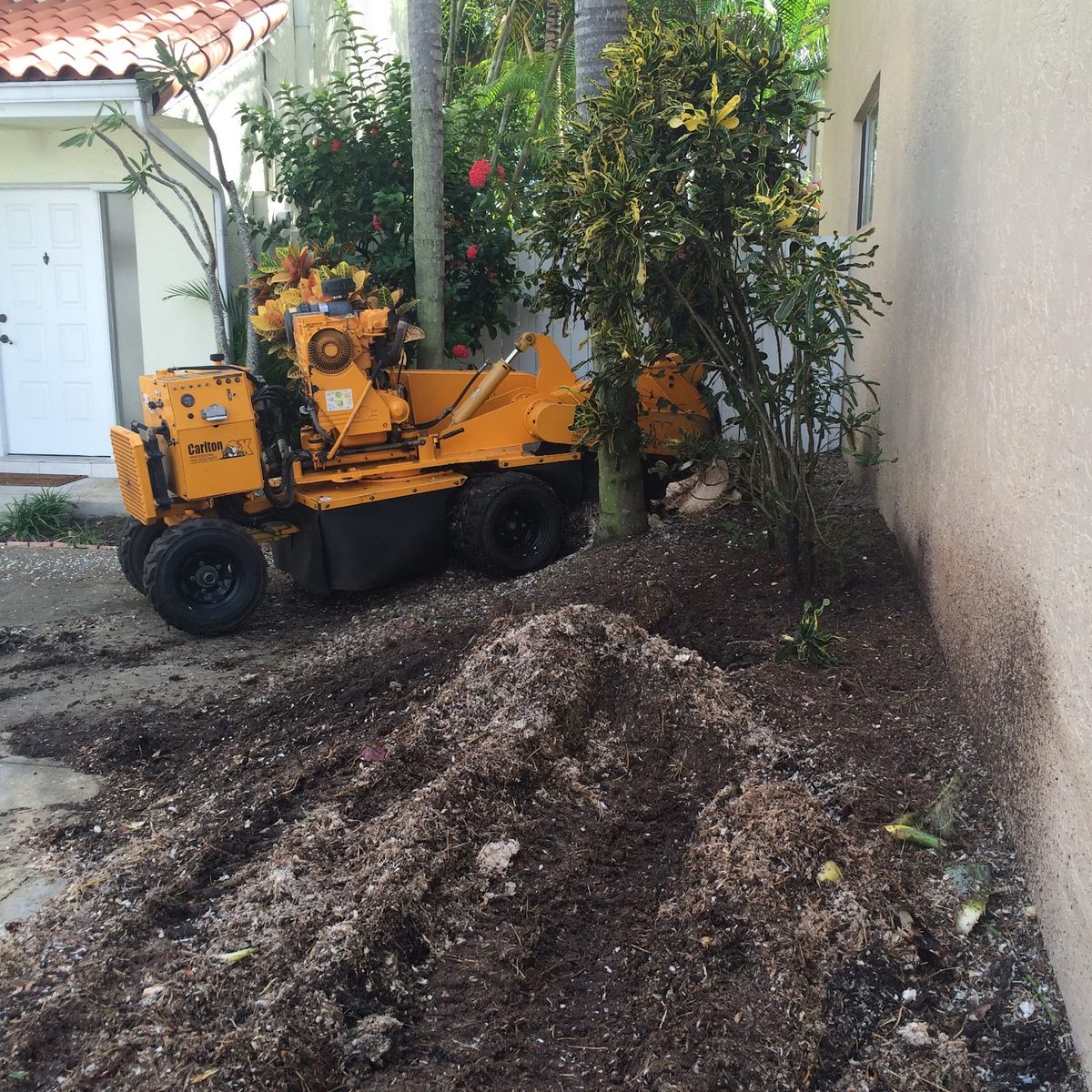 Stump grinder chewing below grade