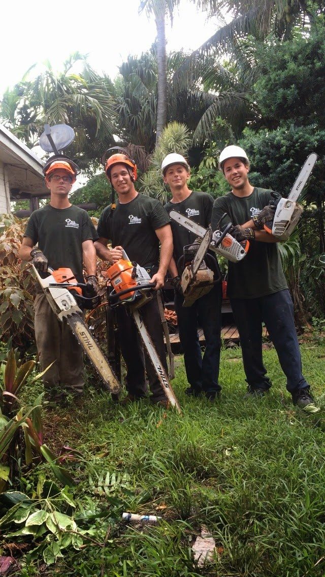 The crew, saws in hand