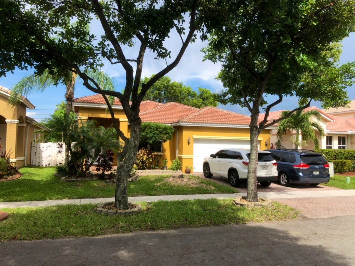 Canopy shade over the driveway, shaped