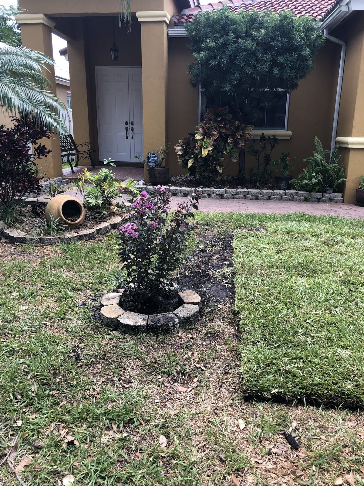 Front-garden bed refreshed after tree work